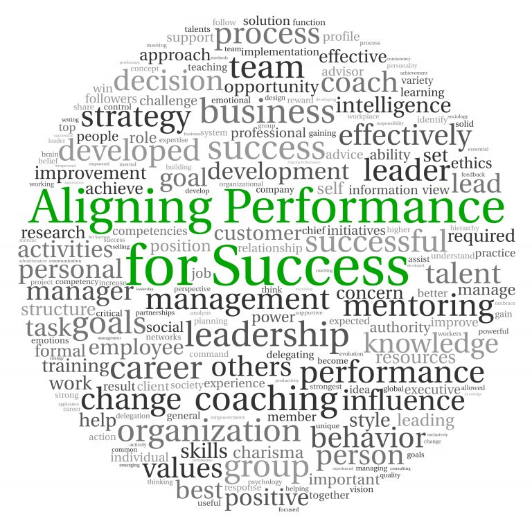 What is Performance Coach or Executive Coach
